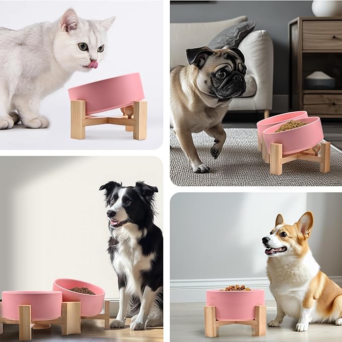 SPUNKYJUNKY 15° Slanted Ceramic Dog and Cat Bowl with Wooden Stand, Tilted Bulldog Food and Water Bowl No Slip Non-Spill for Cats Medium Dogs Big Face Pets 13.5 OZ (1.7 Cups, Pink × 2)