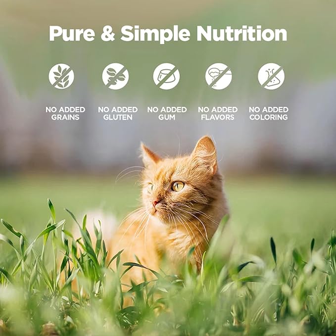 ZEAL New Zealand Wet Cat Food – High Protein, Grain-Free with Superfoods (Lamb, 3.17oz Can, 24-Pack)