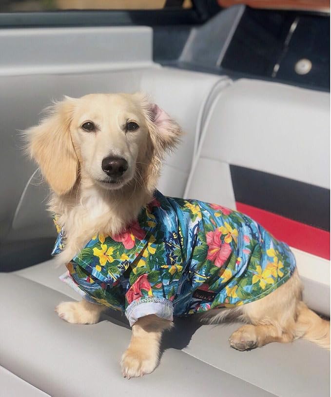 Parisian Pet Hawaiian Dog Shirt - Cotton Summer Clothes - Stylish Beach Outfit - Hook and Loop Closure - Machine Washable for Medium Dogs