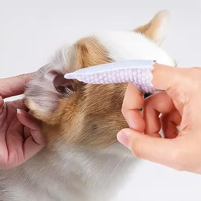 H&H Pets Disposable Finger Toothbrush Dental Dry Wipes for Dogs & Cats -Ultra Soft, Fragrance Free, Hypoallergenic, 60 Count