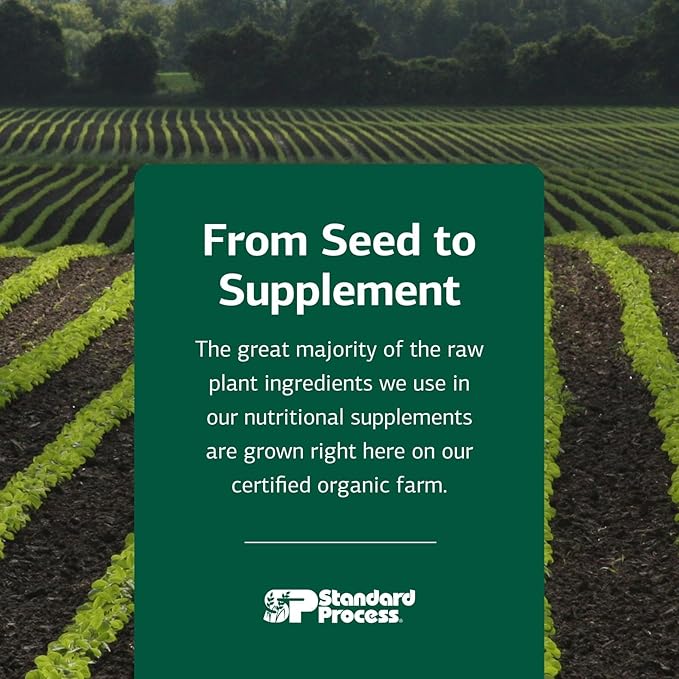 Standard Process Inc. Canine Dermal Support - Skin & Adrenal Gland Supplement - Comprehensive Skin Health Supplement for Dogs - Daily Immune & Liver Support Powder - 125 g