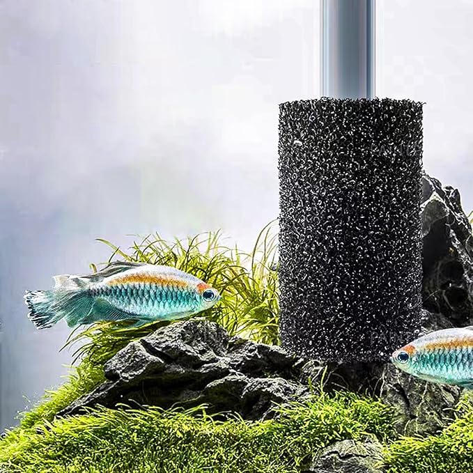 6X Pre-Filter Sponge for Aquarium Shrimp Fry Fish Tank Filter Pump Prefilter Sponge Replacement Foam Cover 3.2 X 1.6 Inch with 0.6" Hole Diameter