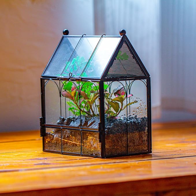 NCYP Small Glass Spider Enclosure with Mesh for Jumping Spiders, Snails, Micro House Shaped Front Opening Plant Terrarium, Home Decor Black, 5.8" x 3.8" x 7" (Terrarium Only)