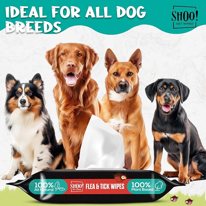 Shoo! Flea & Tick Wipes for Dogs | Convenient, Easy On-The-Go Protection | Plant Based, Natural Oils, Chemical Free | Repels & Prevents | 50 XL Wipes (2 Pack) | Original -Lavender