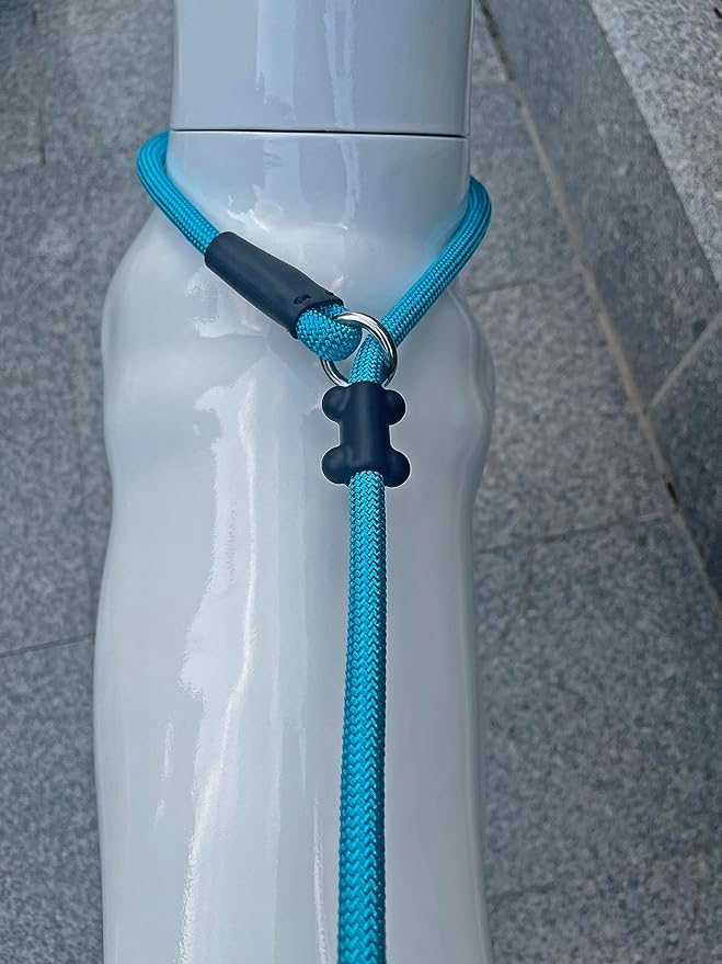 Slip Lead Dog Leash,Strong Nylon Rope Leash and Padded Handle,No Pull Outdoor Walking Training Lead for Small Medium Large Dogs(Blue,1/2"×4ft)