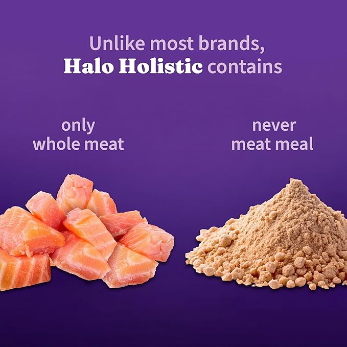 Halo Holistic Kitten Food, Wild Caught Salmon & Whitefish Recipe, Grain Free Dry Cat Food, Complete Digestive Health, 6 lb Bag