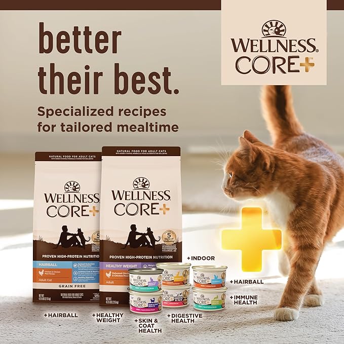 Wellness CORE+ Digestive Health Pate Adult Wet Cat Food, Natural, Protein-Rich, Grain Free, 3 Ounce, 12 Pack (Chicken & Turkey Variety Pack)