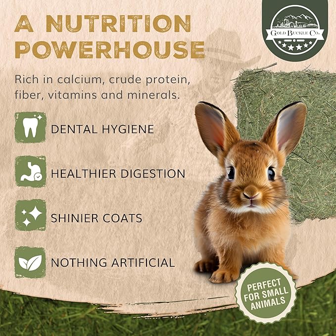 5lb Freshly Dried Organic Alfalfa Hay for Guinea Pigs, Rabbits, Chinchillas, Goats, Hamsters & Ferrets, Small Animal Food Rich in Protein & Fiber, Hand-Selected, Hand Sorted, USA Grown