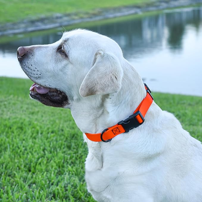 Dogline Biothane Waterproof Dog Collar with Quick Release Buckle Strong Coated Nylon Webbing with Odor- Proof for Easy Care Easy to Clean Fits Small Medium Large Dogs, Orange 5/8" W 9-14" L