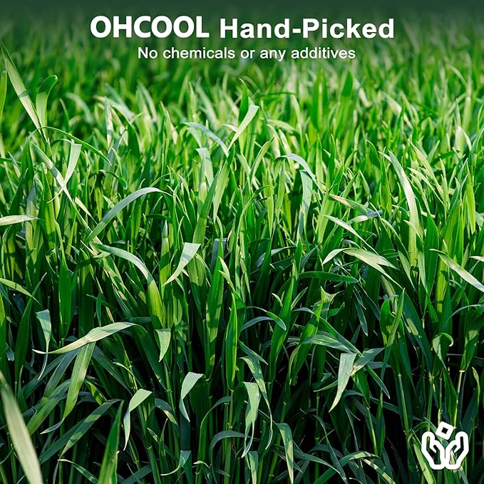 Premium Oat Hay for Pets - Dust Free Natural Green Fresh Pet Food Hay for Rabbits, Guinea Pigs, Chinchillas, Hamsters & Gerbils - 1.1lbs