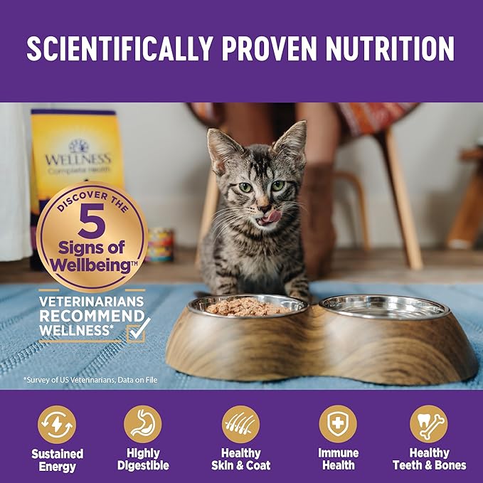 Wellness Complete Health Gravy Adult Wet Cat Food, Natural, Protein-Rich, Grain Free, 3 Ounce, 12 Pack, (Salmon Entree)