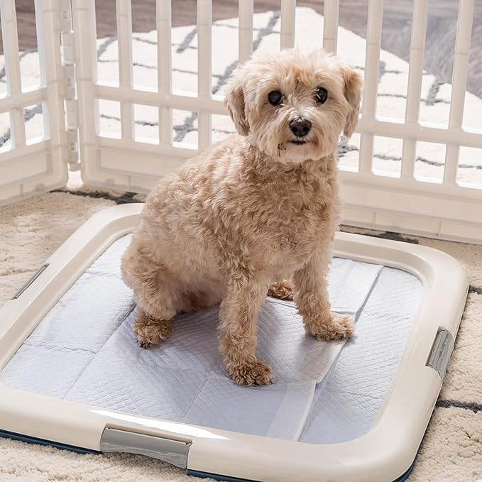 IRIS USA Pee Pad Holder - For Potty Training Regular Sized Dog & Puppy Pee Pads, Secured Latches, Non-Skid Feet, Leak Protection, Fits 22"x22" Pad or Larger, Square, Navy