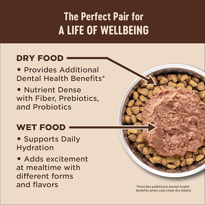 Wellness CORE+ Digestive Health Pate Adult Wet Cat Food, Natural, Protein-Rich, Grain Free, 3 Ounce, 12 Pack (Salmon)