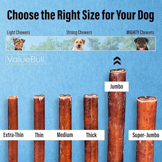 ValueBull Bully Sticks for Large Dogs, Jumbo 6 Inch, 25 Count - All Natural, Grass Fed, Single Ingredient, Long Lasting Dog Treats for Aggressive Chewers