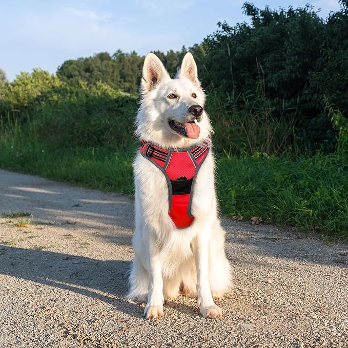 Eagloo Dog Harness Large Breed, No Pull Service Vest with Reflective Strips and Control Handle, Adjustable and Comfortable for Walking, No Choke Pet Harness with 2 Metal Rings, Red, XL