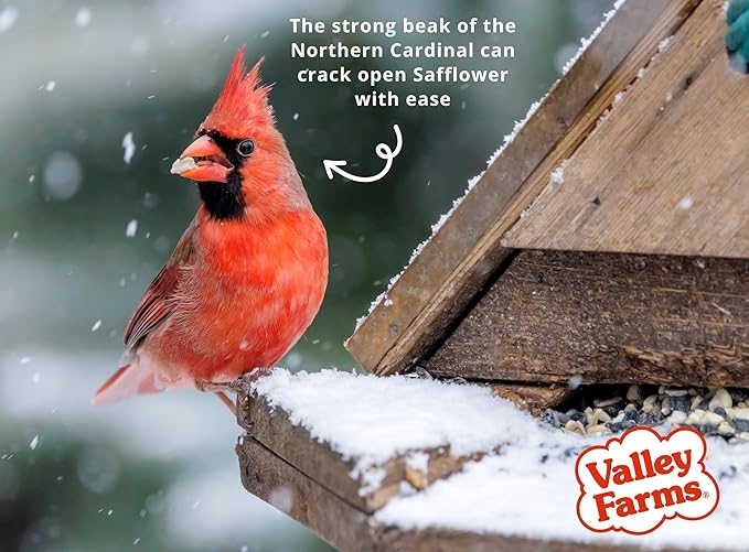 Valley Farms Fruit Nut & Berry (4 LB) Wild Bird Food Outside Feeders, Bird Seed with Dried Fruit, Peanuts, Sunflower, and Safflower, High Energy Mix for Healthy Birds!