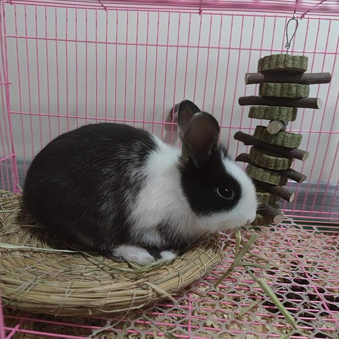 Rabbit Chew Toys for Teeth Grinding Bunny Treats 100% Natural Wood Timothy Grass Treats for Guinea Pigs Chinchillas Hamsters 2pcs