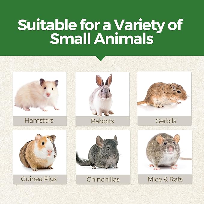 TEEWY 4PCS Guinea Pig Chew Toys, Prevent Teeth Overgrowth, Natural Vegetables and Timothy Grass, Hamster Chew Toys, Guinea Pig Toys, Chinchilla Toys, Grass Patch & Mushrooms