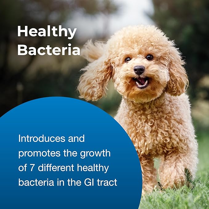 PetAg Bene-Bac Plus - 1 lb Powder - FOS & Probiotics for Dogs, Cats, Exotic & Wildlife Mammals