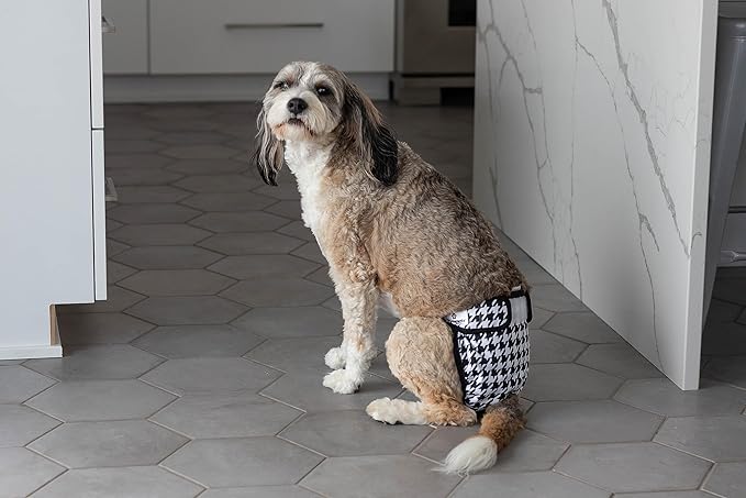 Pet Parents® Washable Dog Diapers (3pack) + Extendrs® of Durable Doggie Diapers, Premium Dog Diapers Female (Medium, Luxe)