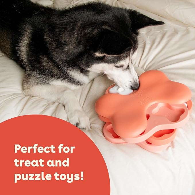 Pupford Soft & Chewy Training Treats for Dogs & Puppies (Beef, 10 oz)