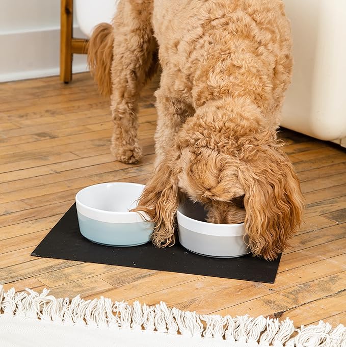 Waggo Dipper Ceramic Dog Bowl for Small and Large Breeds - Heavyweight and Durable Pet Food and Water Dish Crock, Dishwasher Safe, Modern (Black, Medium)