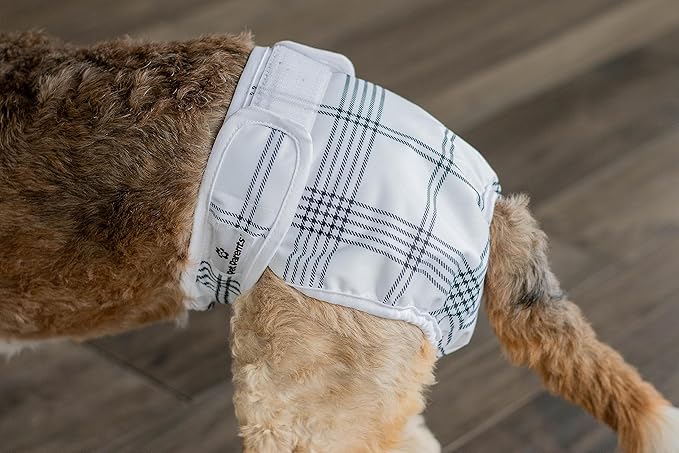 Pet Parents® Washable Dog Diapers (3pack) + Extendrs® of Durable Doggie Diapers, Premium Dog Diapers Female (Large, Luxe)