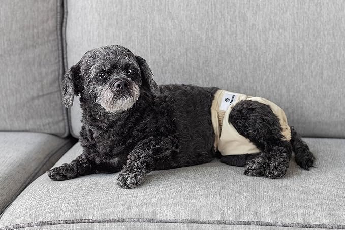 Pet Parents® Washable Dog Diapers (3pack) + Extendrs® of Durable Doggie Diapers, Premium Dog Diapers Female (Small, Spruce)