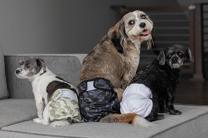 Pet Parents® Washable Dog Diapers (3pack) + Extendrs® of Durable Doggie Diapers, Premium Dog Diapers Female & Male (Small, Camo)