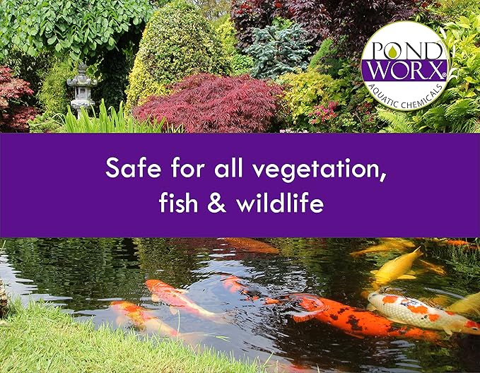 Pondworx Pond Bacteria - Concentrated & Formulated for Water Features - Safe for Koi - 16 Ounces & Treats up to 2,500 gallons of Water
