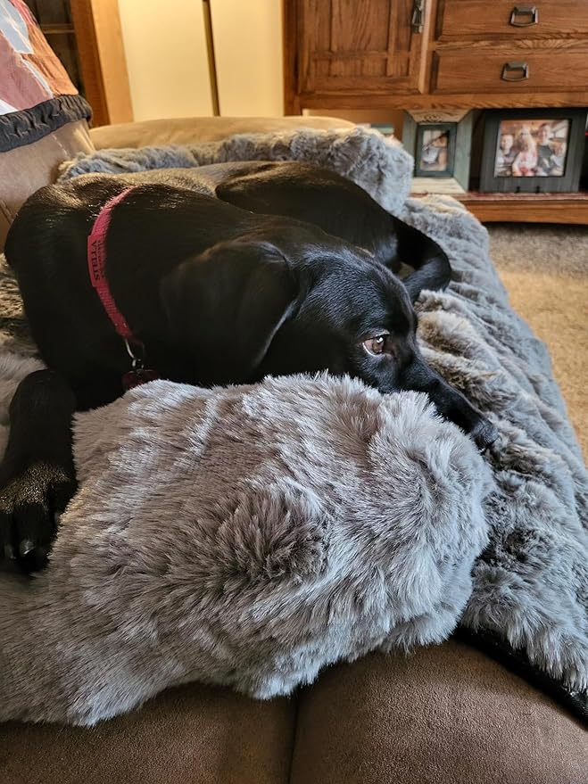 FUNNY FUZZY Pet Fluffy Fuzzy Couch Cover, Calming Washable Dog Bed Sofa Protector Pets Mat for Small Medium Dogs and Cats (Grey,33.45 × 28.35 × 5.51 in)