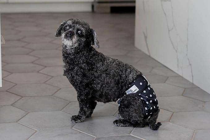 Pet Parents® Washable Dog Diapers (3pack) + Extendrs® of Durable Doggie Diapers, Premium Dog Diapers Female (X-Large, Luxe)