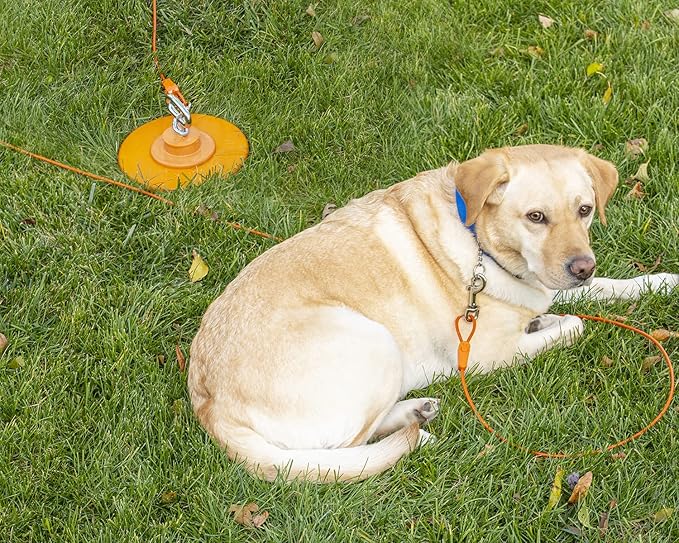 Tie-Out Cables for Dogs: Strong, Safe, and Durable Dog Tie-Outs for Every Breed: 125 lb / 20 ft