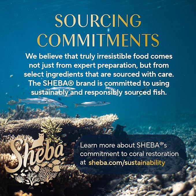 Sheba Perfect Portions Wet Cat Food Pate with Sustainable Salmon and Tender Whitefish & Tuna Entree Variety Pack, 2.6 oz. Twin-Pack Trays (12 Count, 24 Servings) (Pack of 2)