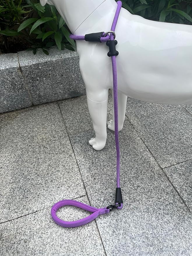 Slip Lead Dog Leash,Strong Nylon Rope Leash and Padded Handle,No Pull Outdoor Walking Training Lead for Small Medium Large Dogs(Purple,1/2"×4ft)