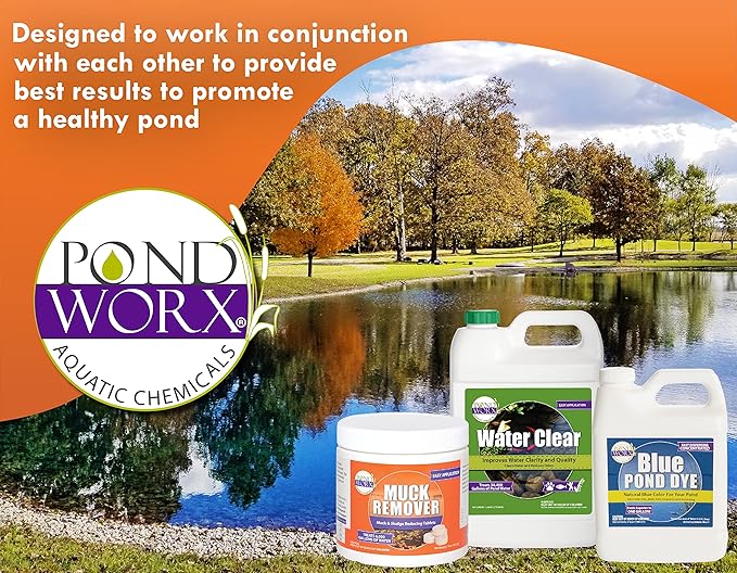 Pondworx Pond Bacteria - Concentrated & Formulated for Water Features - Safe for Koi - 16 Ounces & Treats up to 2,500 gallons of Water