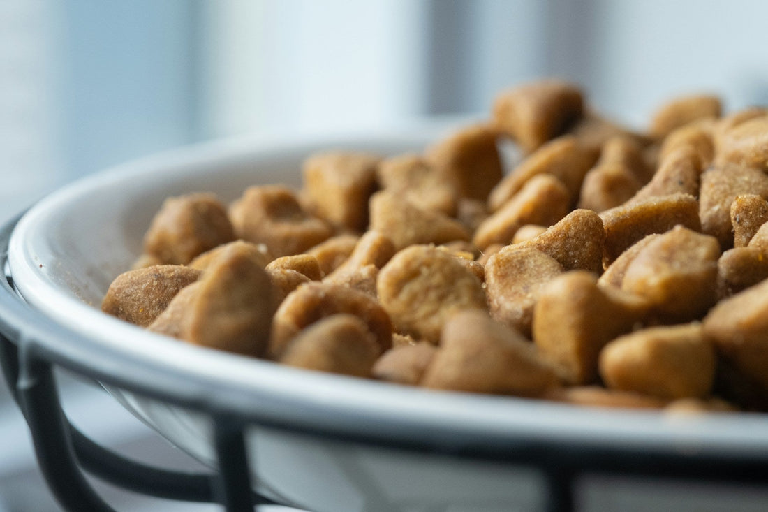 The Ultimate Guide to Choosing the Right Cat Food: What Every Owner Should Know