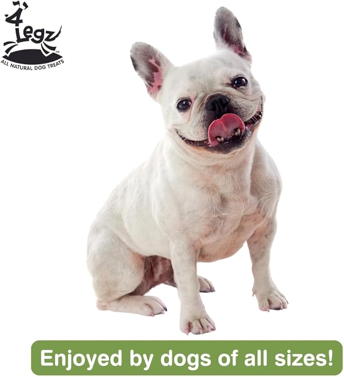 Peanut Butter & Carob Chips Dog Treats – Healthy, Crunchy, Vegan Biscuits with Whole & Real Ingredients – All Natural & USA‐Baked, (7 Ounce, Pack of 3)