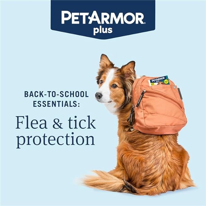 PetArmor Plus Flea and Tick Prevention for Dogs, Dog Flea and Tick Treatment, 3 Doses, Waterproof Topical, Fast Acting, Medium Dogs (23-44 lbs)