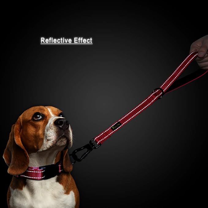 PLUTUS PET Short Training Dog Leash with Padded Handle for Medium Large Big Dogs,18 Inch Heavy Duty Strong Traffic Leash with Carabiner Clip for Climbing Walking or Guiding Blind（18”，Red