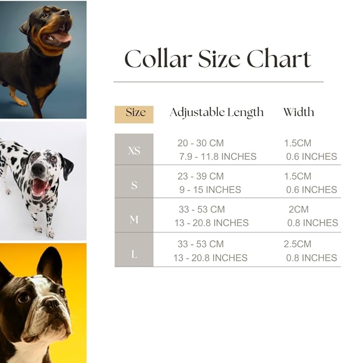 HILLBERRY Dog Collar and Leash Set Adjustable Rainbow Pink Purple Blue Puppy Pet Essentials and Supplies - Size XS