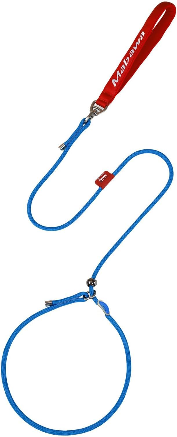 Dog Anti-Slip Leash 5FT with Metal Stopper - Durable No-Pull Training Lead for Small, Medium & Large Dogs - Comfortable Handle Nylon Rope, Tangle-Free Pet Walking Leash (Blue, 5 FT)