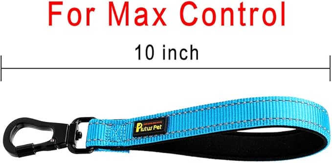 PLUTUS PET 10” Short Dog Leash, Reflective Nylon Padded Handle, Strong Traffic Leash with Carabiner Clip, Perfect for Large or Medium Dogs（10”，Blue