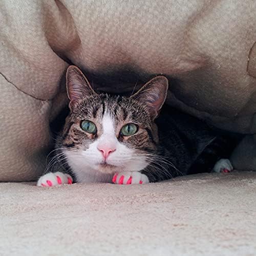 40 Pack Soft Nail Caps for Cat Claws Soft Pink Kitten