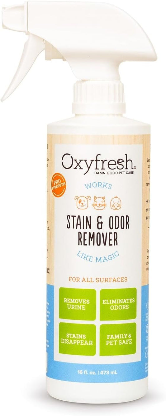 Oxyfresh Advanced Pet Stain Remover & Urine Odor Eliminator – Fast Acting Pet Odor Eliminator for All Surfaces - Best Way to Remove Stains - Dog & Cat Urine Neutralizer