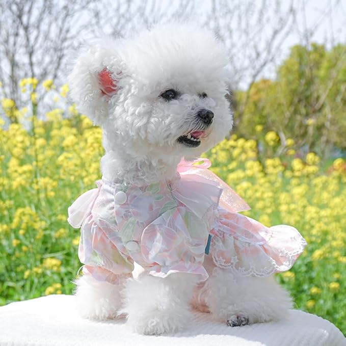 Pink Dog Dress for Small Dog Girl Spring Puppy Clothes with Bow Puff Sleeves Cat Outfit Doggy Princess with Leash Ring Doggies Harness Dress Summer Pet Apparel (Pink, Medium)