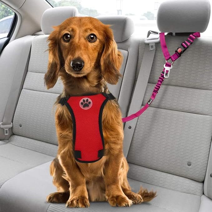 SlowTon Dog Seat Belt, 2 Pack Harness Seatbelt Adjustable With Elastic Bungee Buffer, 2 in 1 Pet Car Leash Headrest Restraint Reflective Safety Tether (Fushia, Dual Restraint)