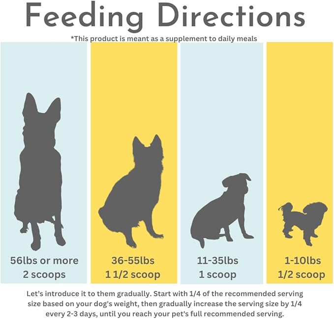 Probiotics, Prebiotics, & Digestive Enzymes for Dogs| Limited Ingredients| Digestive Support |Allergy Relief |Immune Support| Reduces Inflammation| Diarrhea & Gas Relief (150g), White