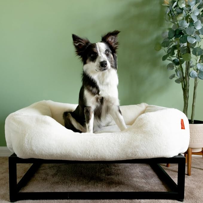 FUZI Luxury Aesthetic Dog Bed with Extra Cover for Large Dogs, Washable Pet Couch, Pet Bed with Sides, Non-Slip Bottom, Soft and Durable Calming Dog Bed, Faux Fur, Large 35.6x28.5x9.5 Soft White