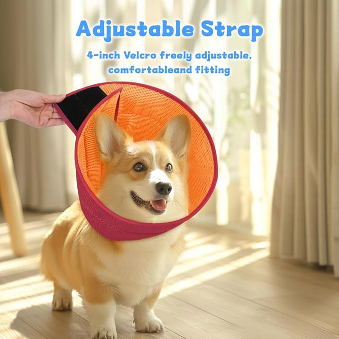 Soft Dog Cone Recovery Collars & Cones After Surgery for Medium Large Dogs, Comfy Ecollars to Stop Licking, Adjustable, Dog Ecollars for Recovery Plastic: Superior Support Fabric: Soft Comfort, XL